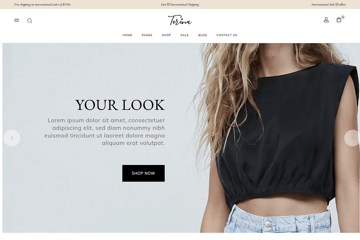 Multipurpose Elementor WooCommerce, a WordPress Template by MasterDesigns (Photo 3 of 10)