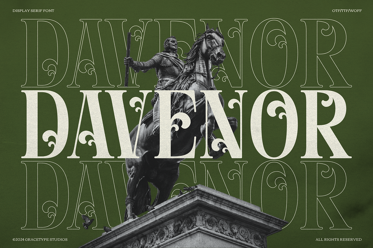 Davenor | Display Serif Font, a Serif Font by gracetype_studio (Photo 1 of 11)