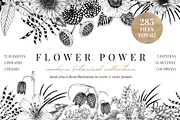 Vintage garden flower meadow lineart, an Illustration by Sophia J Caldwell (Thumbnail 1 of 17)