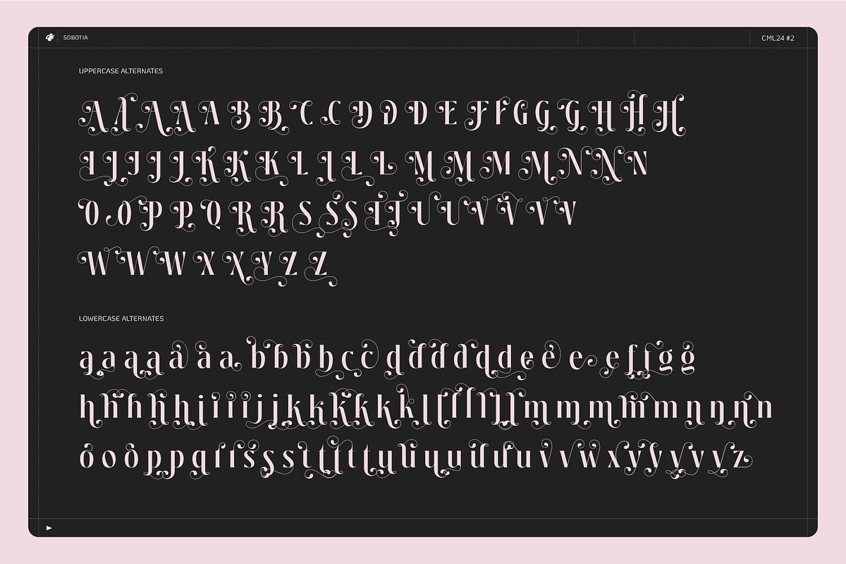 Sobotia - Playful Serif family, a Serif Font by creativemedialab (Photo 10 of 10)