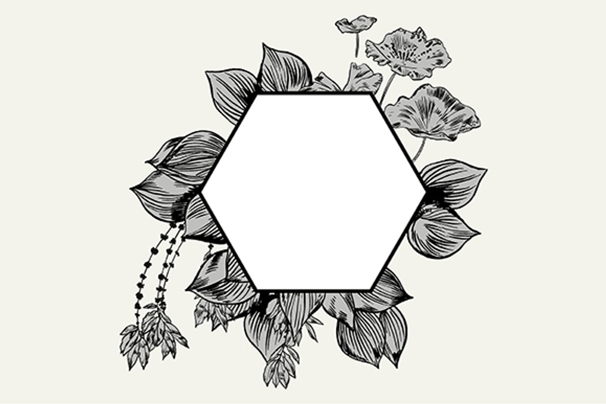 TROPIC set 2, a Decorative Illustration by Tanya Akhmett (Photo 4 of 10)