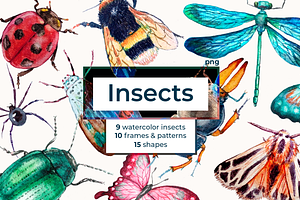 Watercolor Insect Cliparts