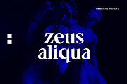 Vinka Duscha Modern Serif Font, a Serif Font by UICreative (Thumbnail 4 of 5)