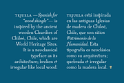 LC Tejuela, a Serif Font by CTCH (Thumbnail 13 of 13)