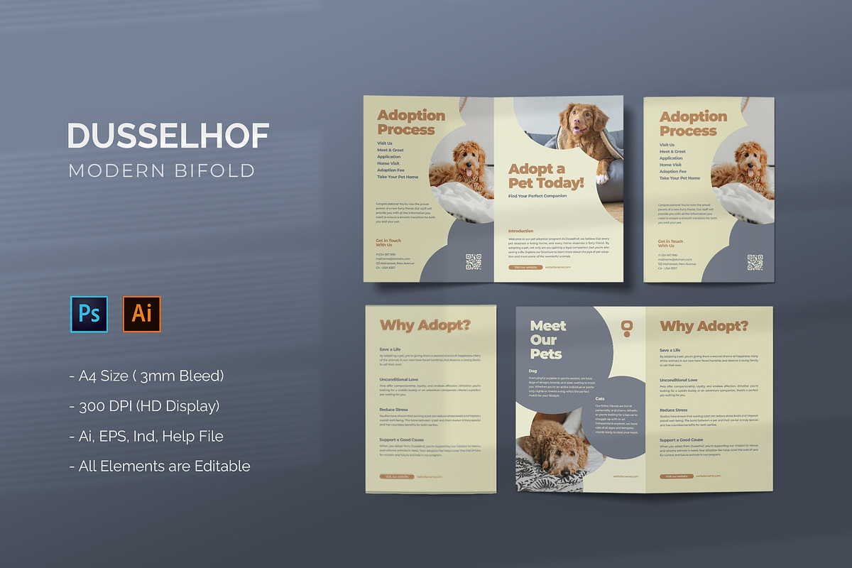 Dusselhof - Bifold Brochure, a Brochure Template by StreaksideStd