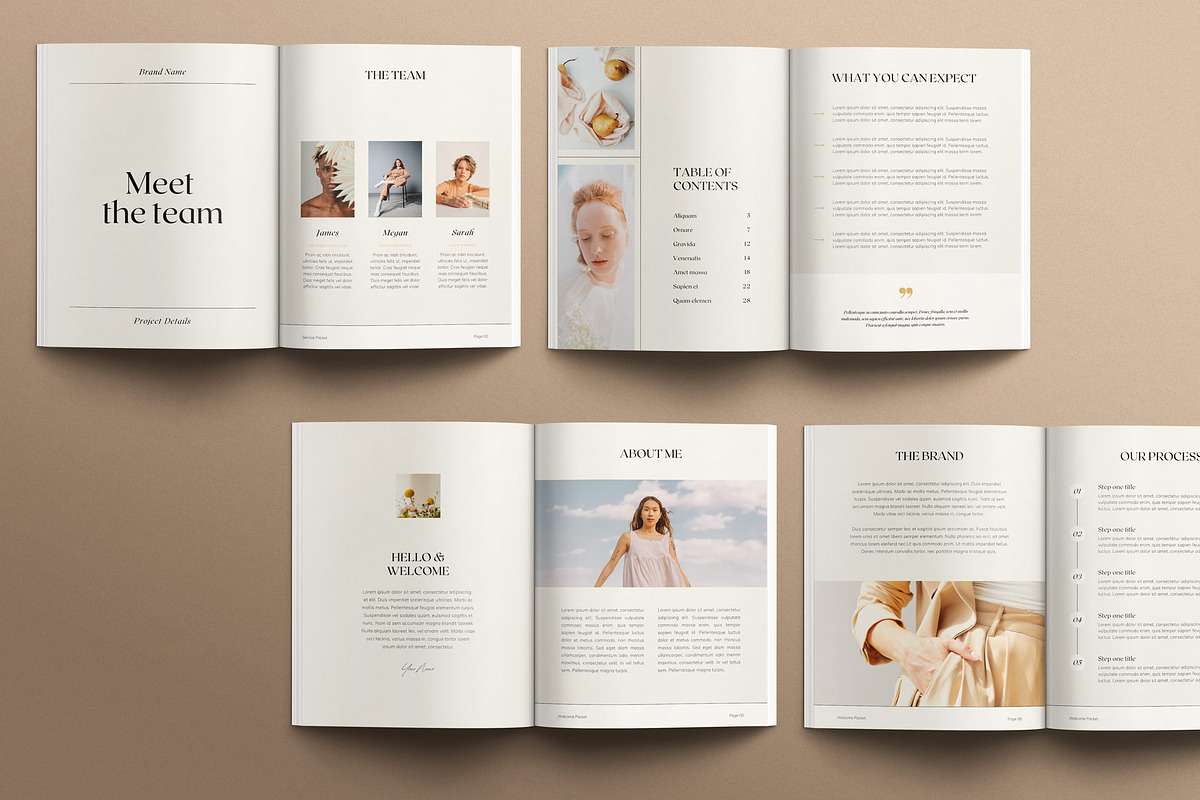 Client Service Experience Templates, a Magazine Template by Sierra Creative Studio (Photo 10 of 17)