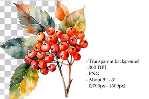 Autumn Leaves Clipart. AI