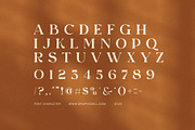 Corige Elegant Serif, a Serif Font by Elegant Font (Thumbnail 7 of 8)