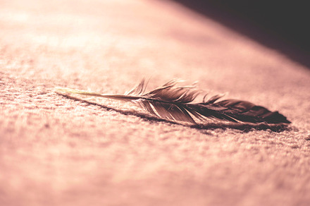 The Feather Collection... preview 4
