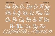 Redcliff Campwood, a Serif Font by din-studio.com (Thumbnail 11 of 16)