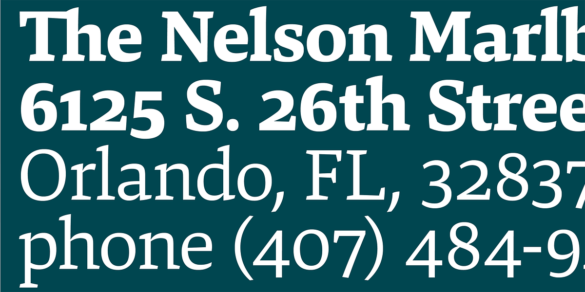 Danton, a Serif Font by Hoftype (Photo 10 of 15)