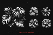 10 Bundle Dark Art Monstera Plant, an Illustration by Morspective (Thumbnail 3 of 7)