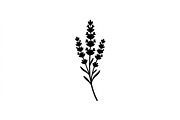 Lavender Stem Silhouette Collection, an Object Graphic by Creativeshirt (Thumbnail 3 of 3)