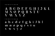 Argus - Lovely & Elegant Serif Font, a Serif Font by Vroz Studio (Thumbnail 8 of 8)