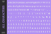 Gamilia Blur, a Serif Font by Craft Supply Co. (Thumbnail 8 of 8)
