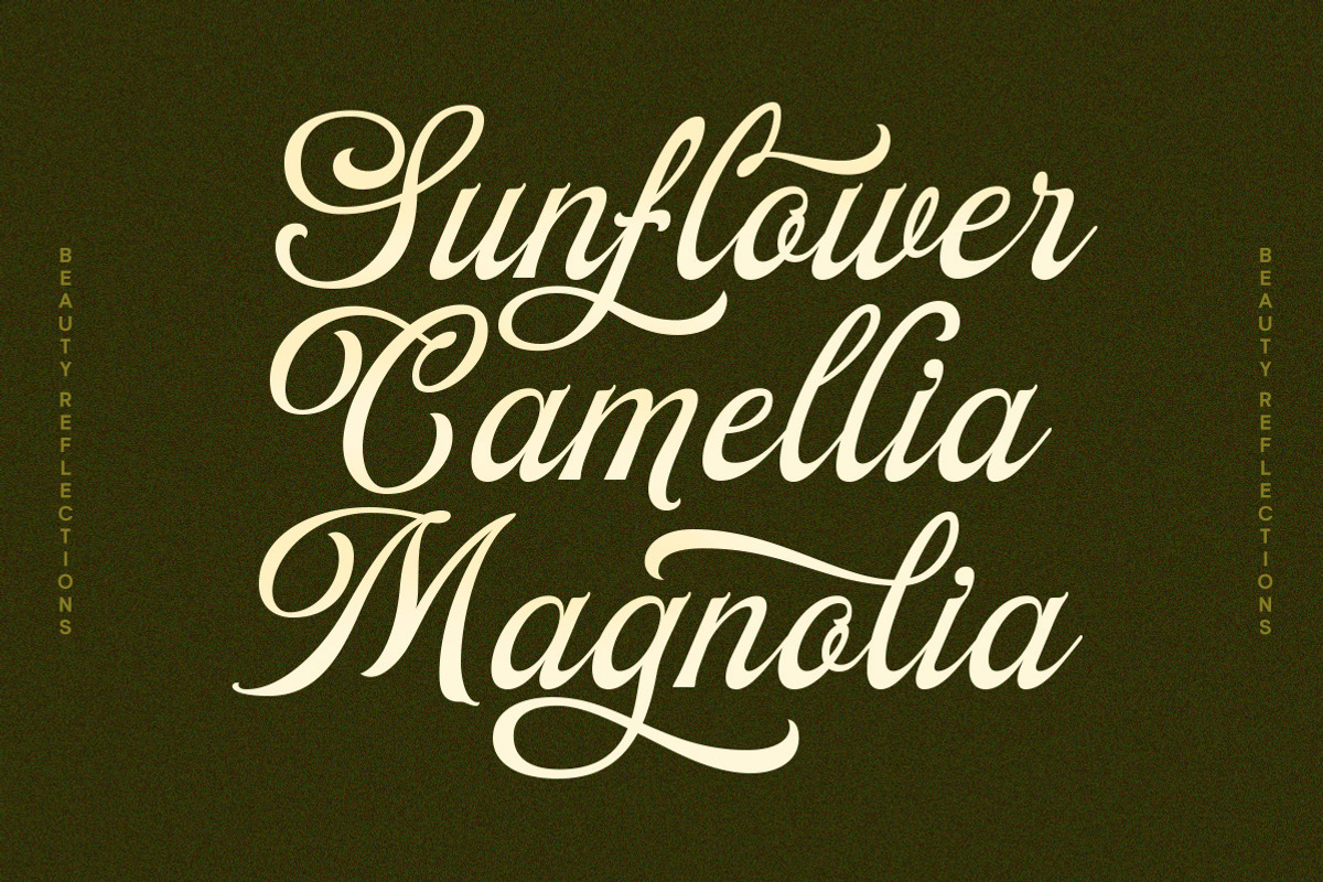 Beauty Reflections - Elegant Script, a Script Font by Letterhend Studio (Photo 7 of 9)