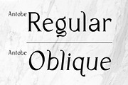 VT Antobe - Modern Serif, a Serif Font by ViactionType (Thumbnail 6 of 12)