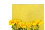Yellow floral flatlay set, an Object Graphic by Pullia (Thumbnail 6 of 9)