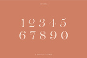 eunoia a display serif, a Serif Font by NendesKombet Studio (Thumbnail 9 of 10)