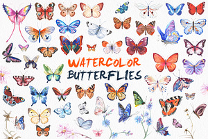 Watercolor Butterflies