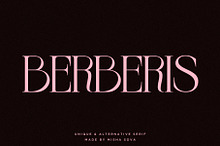BERBERIS - Display Unique Serif