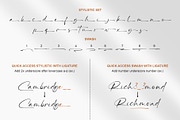 The Billion | Stylish Signature, a Script Font by Lemonthe (Thumbnail 6 of 10)