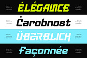 Landmark Authentic Experience Modern, a Sans Serif Font by timelesstype.co (Thumbnail 8 of 10)