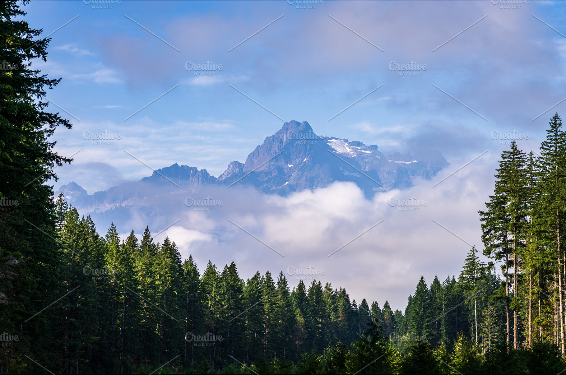 Whitehorse Mountain seen through, a Nature Photo by Backyard Stock