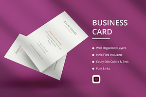 Business Card InDesign Template