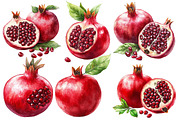 Pomegranate Watercolor Cliparts, an Illustration by Designworld (Thumbnail 3 of 7)