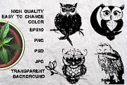 Wild owls. 22 graphic illustrations, an Illustration by AnastasiyaOleynik (Thumbnail 4 of 4)