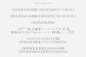 Artemis Semi-serif Unique Typeface