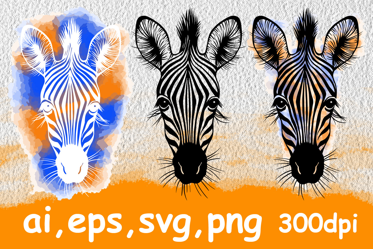 Vector portraits of zebra, an Object Graphic by ViktoriArt