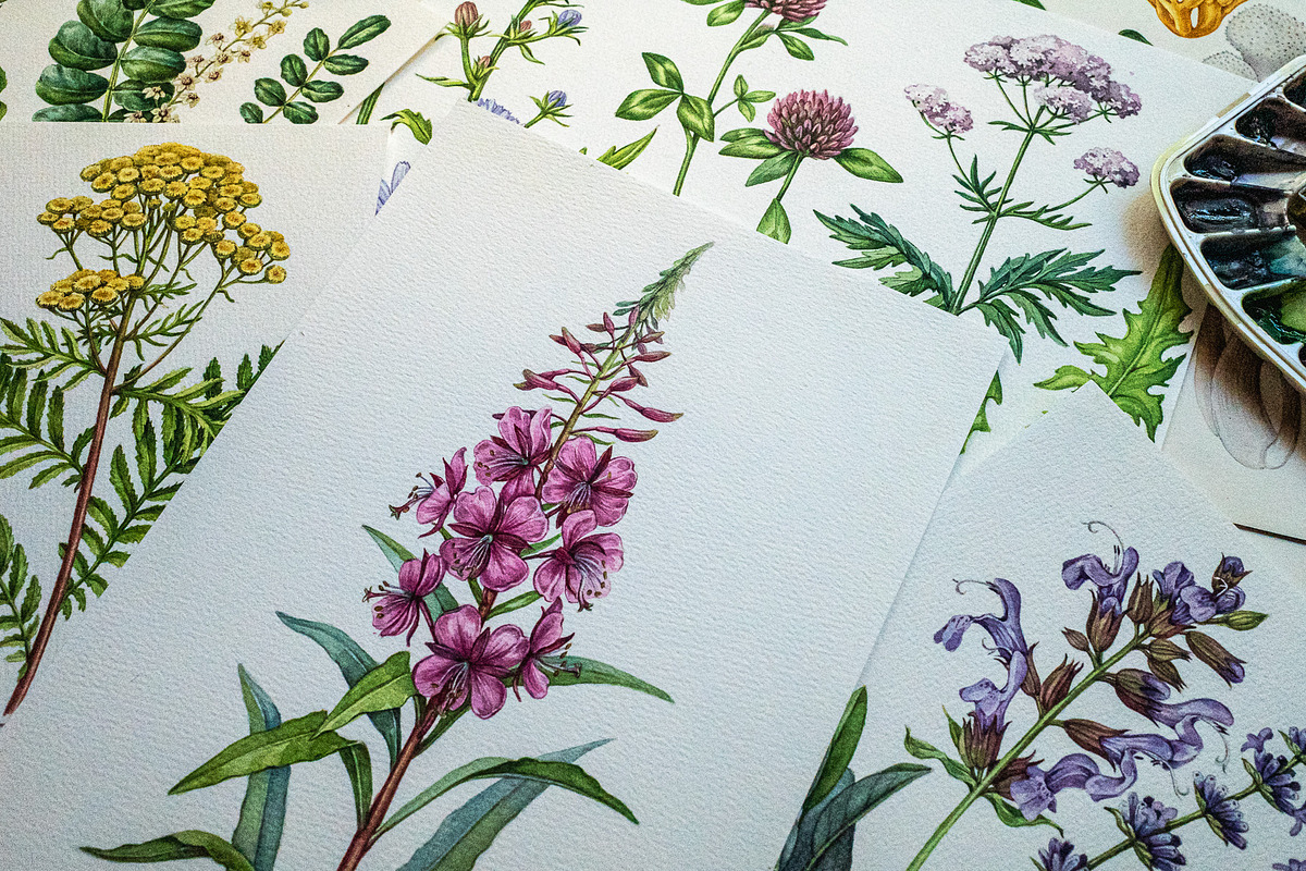 Herbal Apothecary Brand Kit, a Healthcare Illustration by AnitaPol (Photo 14 of 18)