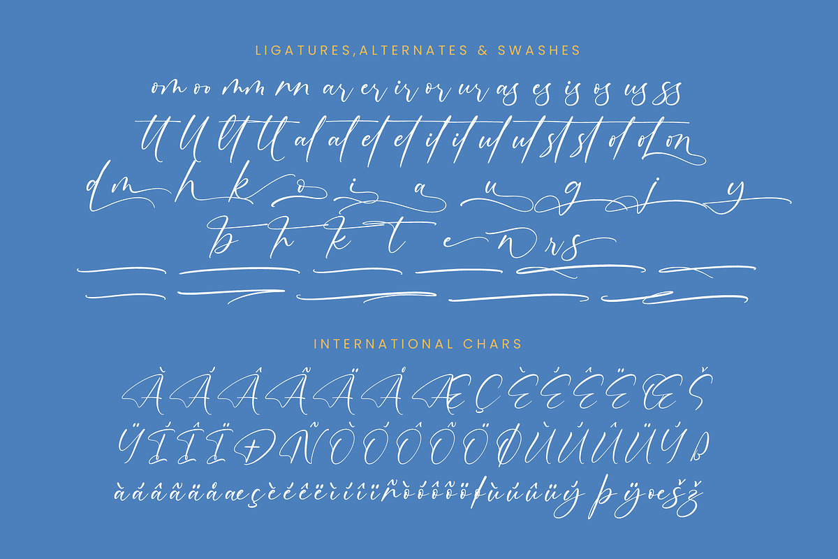 Motion Amusement Modern Signature, a Script Font by Letterena Studios Script (Photo 14 of 15)