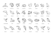 Animal icons. Vector icon set, an Animal Illustration by Tettygreen (Thumbnail 3 of 3)