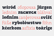 Tarif - 21 fonts, a Slab Serif Font by Zetafonts (Thumbnail 7 of 13)