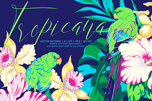 Tropicana Vector Patterns