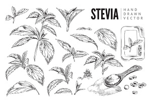 Stevia sketch. Set., an Object Illustration by Sabelskaya
