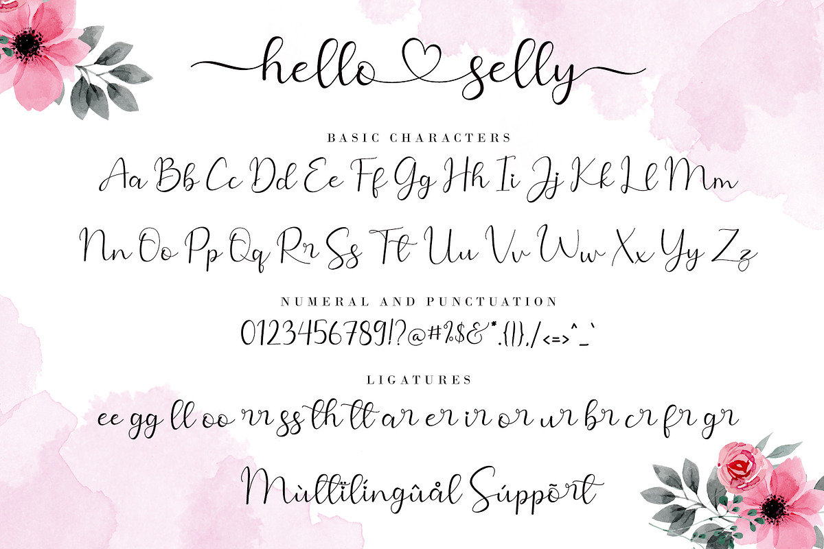 Hello Selly, a Script Font by AEN Creative Studio (Photo 9 of 12)