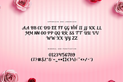Valentine Rose-Modern Valentine Font, a Serif Font by overlaytemplates (Thumbnail 4 of 5)