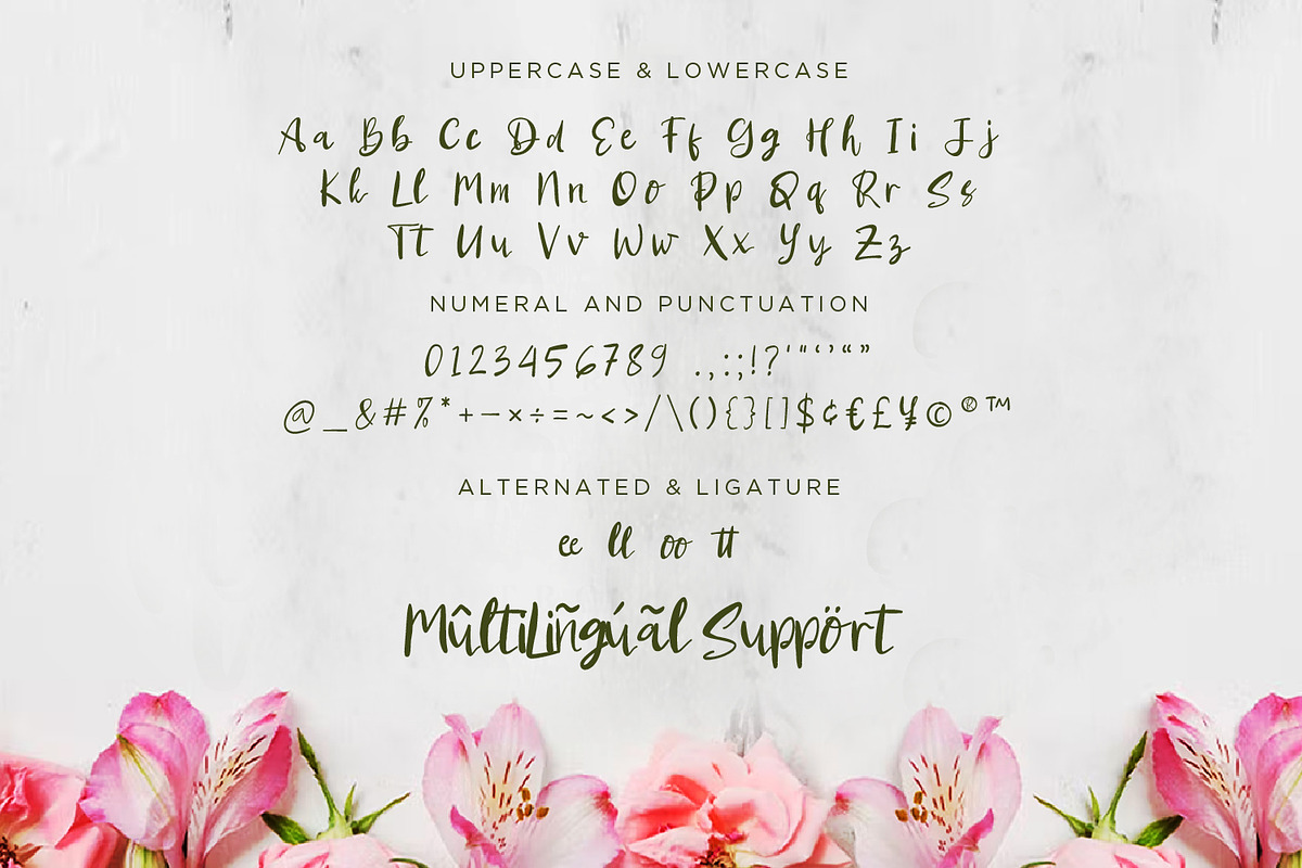 Dellisha - Handwriten Script fonts, a Script Font by Nahar_std (Photo 8 of 9)