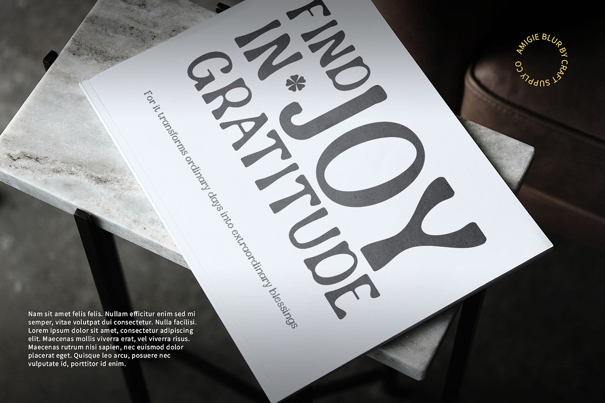 Amigie Blur, a Serif Font by Craft Supply Co. (Photo 6 of 8)