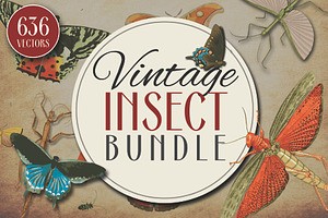 Insect Vector Graphics Bundle