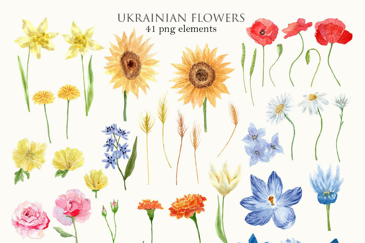 Ukrainian flowers. Help Save Ukraine, an Illustration by Slastick (Photo 2 of 5)
