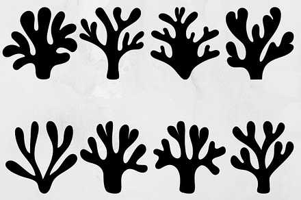 Coral Silhouette SVG