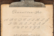 The Beauty Font Bundle | 6 in 1, a Script Font by StoricType (Thumbnail 17 of 23)