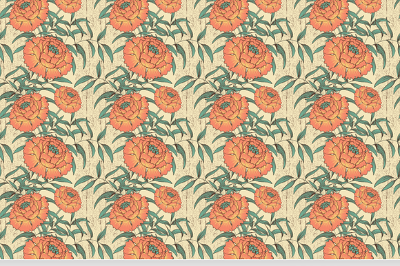 Peonies preview 6