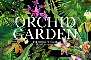 Orchid Garden