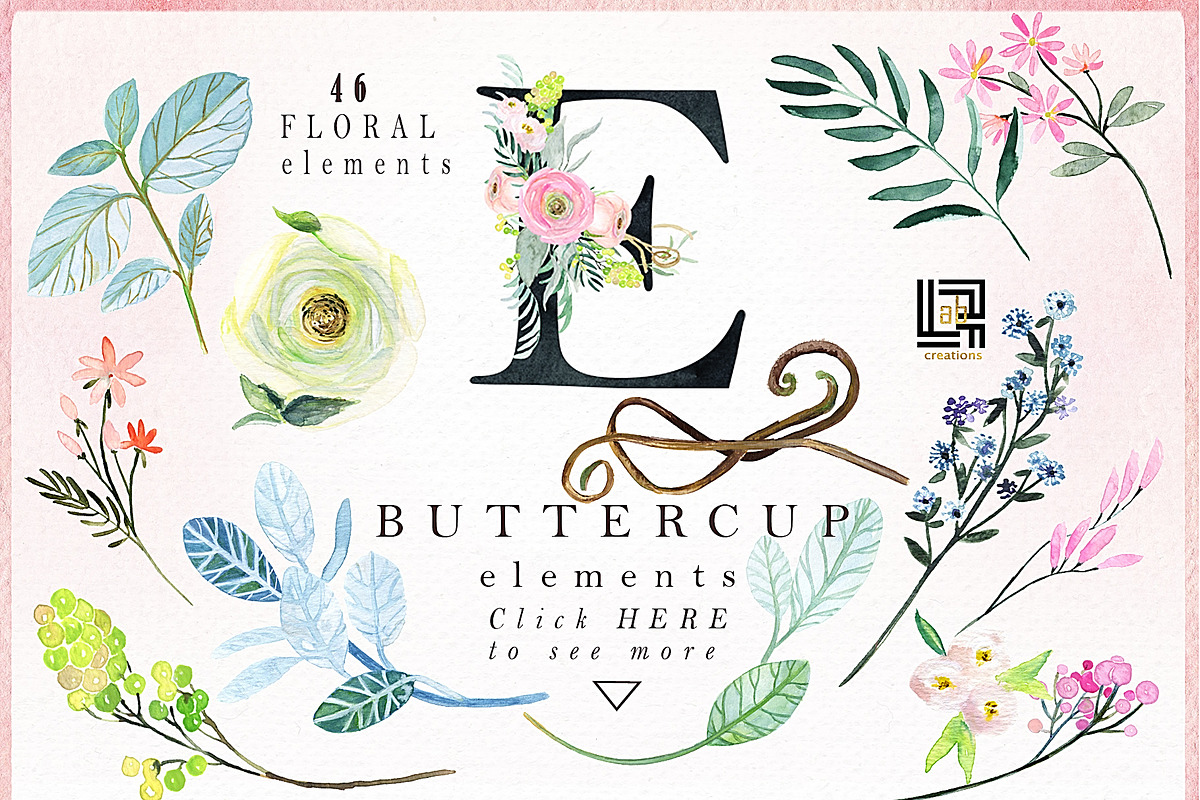 -50% Off Buttercups. Ranunculus pink, an Illustration by LABFcreations (Photo 12 of 12)